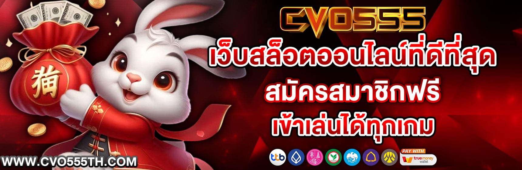 CVO555 TOP BANNER